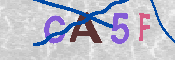 CAPTCHA Image