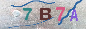 CAPTCHA Image